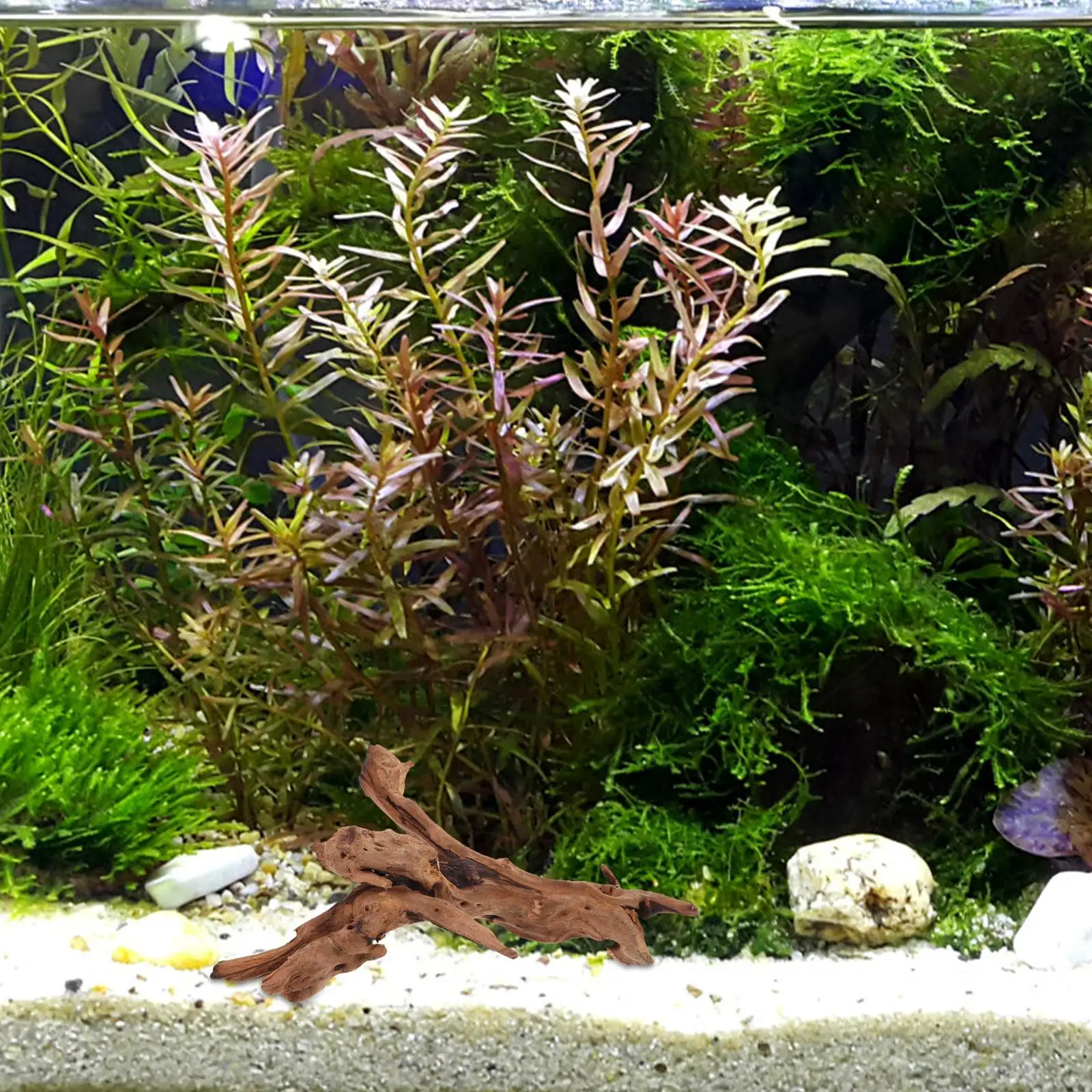 

1Pcs 20 25cm Natural Dead Wood Fish Tank Decorations Wooden Landscape Aquarium Supplies Decorative Logs Pet Reptile Terrarium