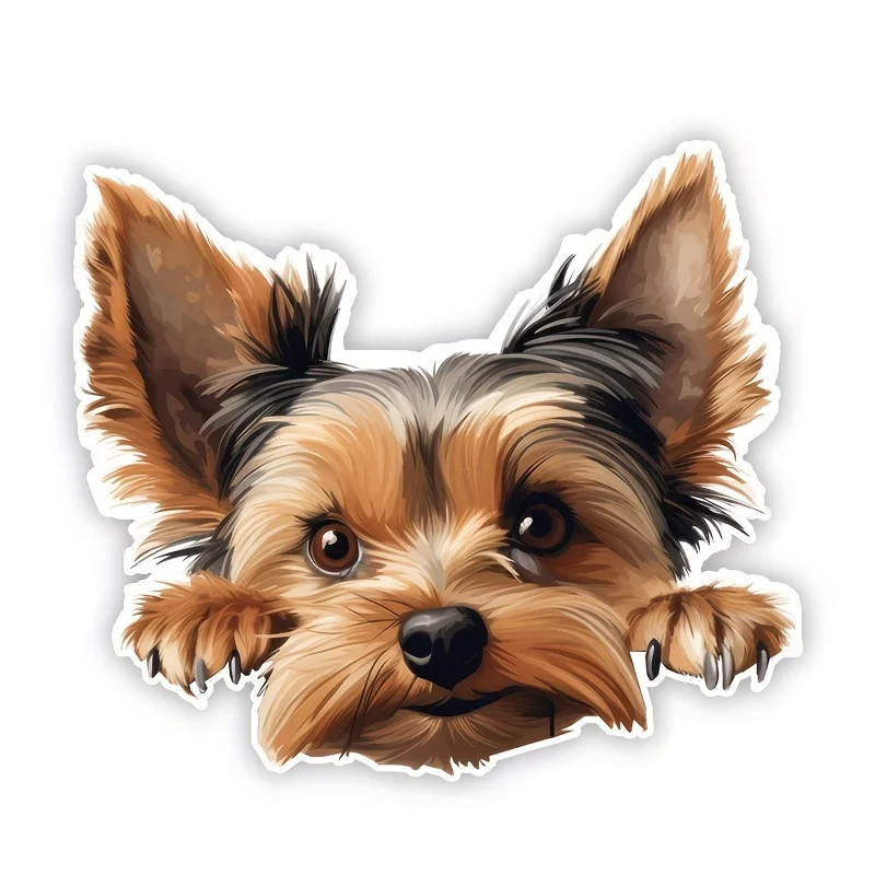 DK125# Yorkshire Terrier Car Stickers Scratch Covering Self-Adhesive Waterproof Decal Motorcycle Decorative Accessories