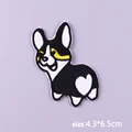 PE6149CT