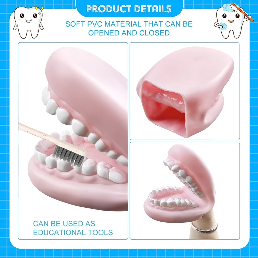 

Стоматологическая модель рта-куклы с зубной щеткой, силиконовая, 28 зубов, симулятор полости рта, учебная модель, инструмент для демонстрации в логопедии