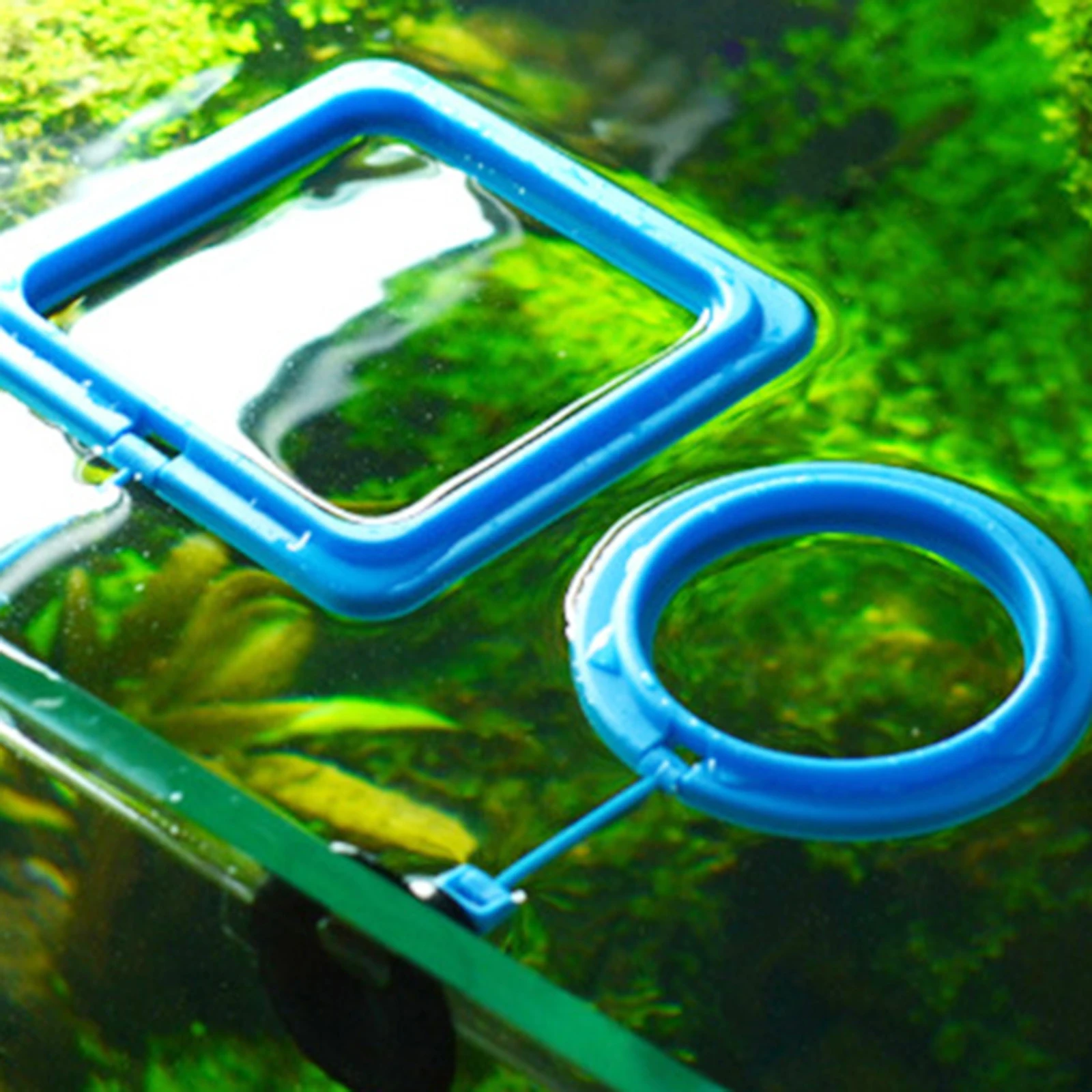 

3 Pcs Fish Feeding Rings Blue Reusable Wear Resistant Aquarium Accessories Tank Circle Feeders Professional Small Plastic Pet