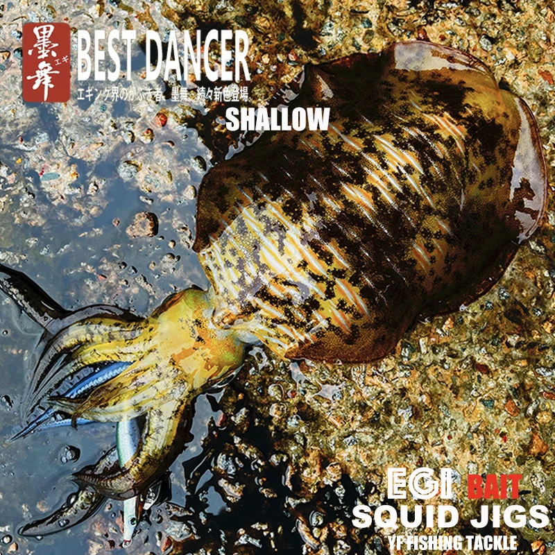 فوكوشيما 3.5 رقص الحبار البوب إيجي إغراء الصيد الخشب الروبيان الطعم CUTTLEFISH توهج الصوت الحادة السنانير الجلد الحريري 19 جرام الضحلة