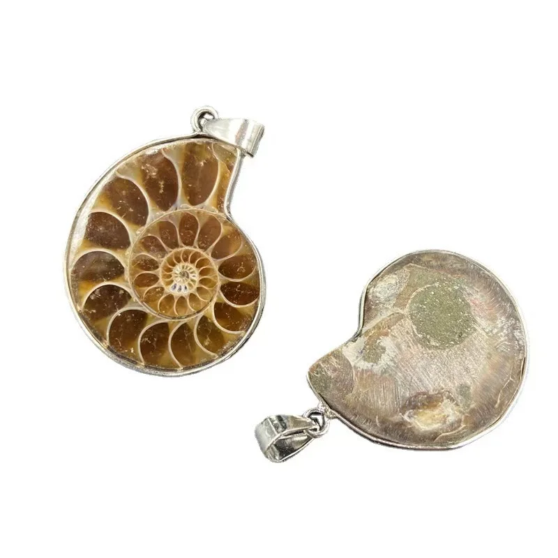 

Natural Gemstone Shell Pendant Necklace DIY Edging Charms For Men's Gifts Women's Jewelry Drop Shipping