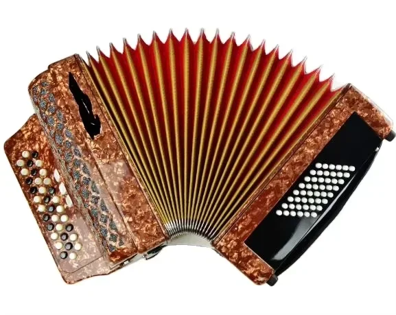 Professional Piano Accordion 34-Key 48-Bass Button Type B/C System Diatonic & Chromatic Bayan Accordion Made of Wood