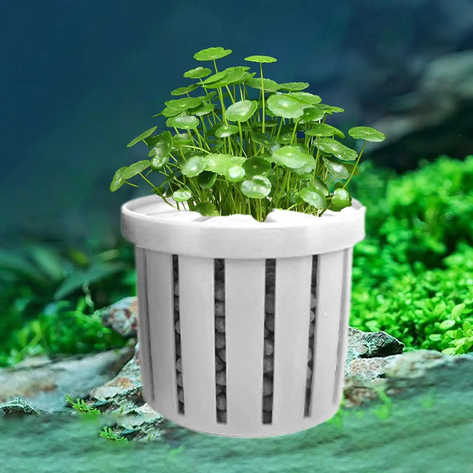 4Pcs Home fish tank hydroponic plant basket Aquarium Plant Pots Stable Fish Tank Plant Cup Planting Holder Water Feature