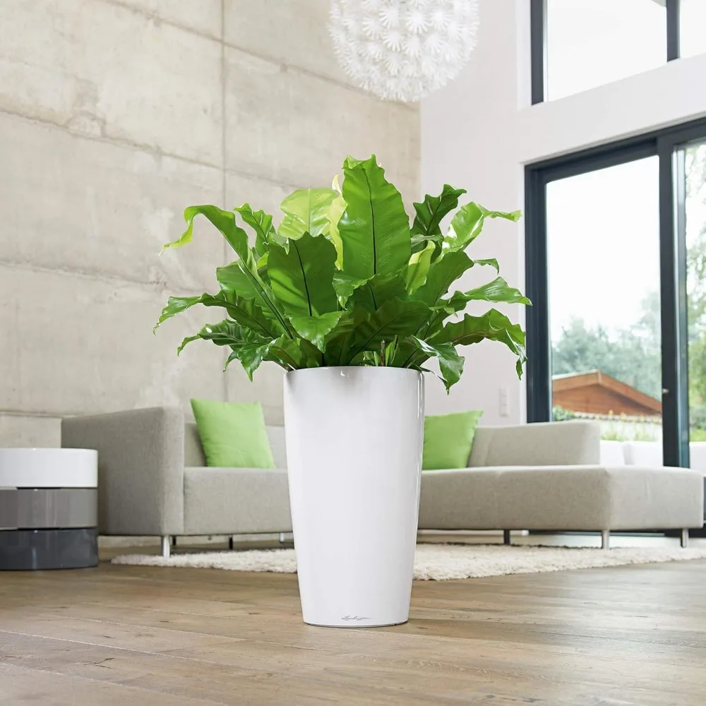 Planter，Large Garden Flower Plant Pot Indoor/Outdoor Floor Planter With Drainage Hole And Plant Substrate Poly Resin，plants