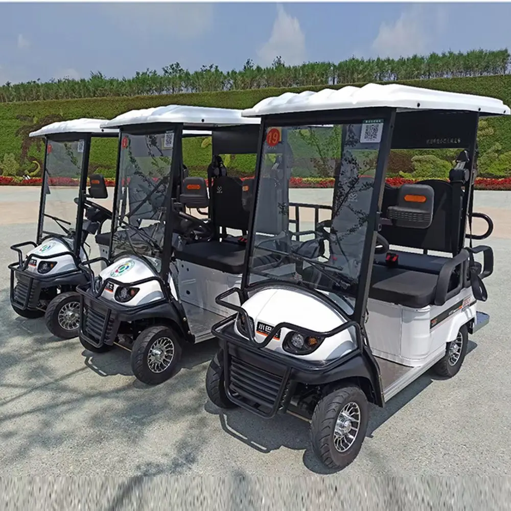 Powerful Rear Wheel Dual Drive Dirt-Free Steep Incline 650/800W Differential Motor 60V 20/32/50AH 2 Seats Electric Bus Golf Cart