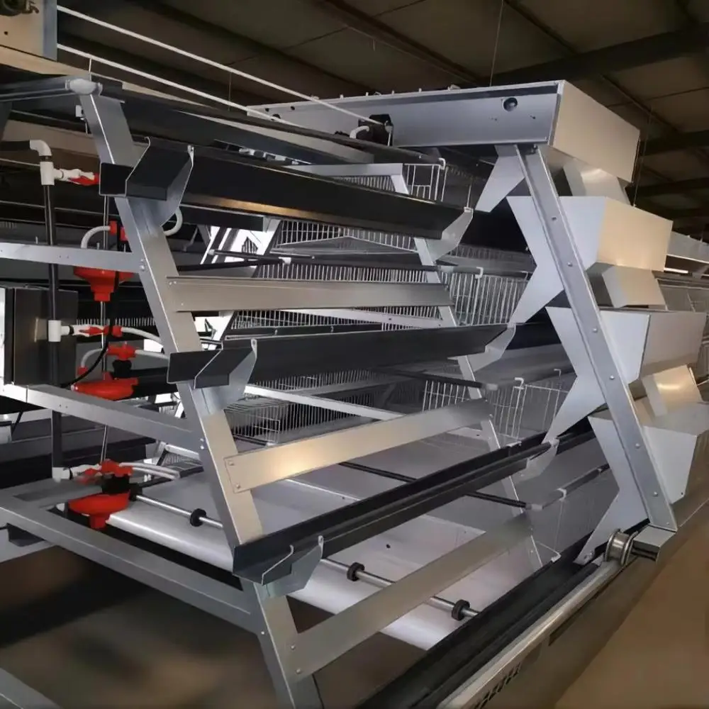 Automatic A-Type 3 /4 Tiers Laying Hens Battery Cage Equipment with Egg Collection System for 96/120/128/160 Birds