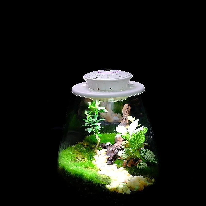 

UFO Full Spectrum LED Grow Light for Micro Landscape Ecological Bottle Moss Plants Growth Lamp Glass Bottle Plant Light