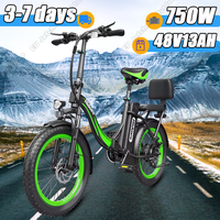 Hidoes HD-C1 Electric Bicycle 750W Motor 48V13AH Lithium Battery Folding Mountain Aldult Electric Bike 20 Inch Tire City E-Bike