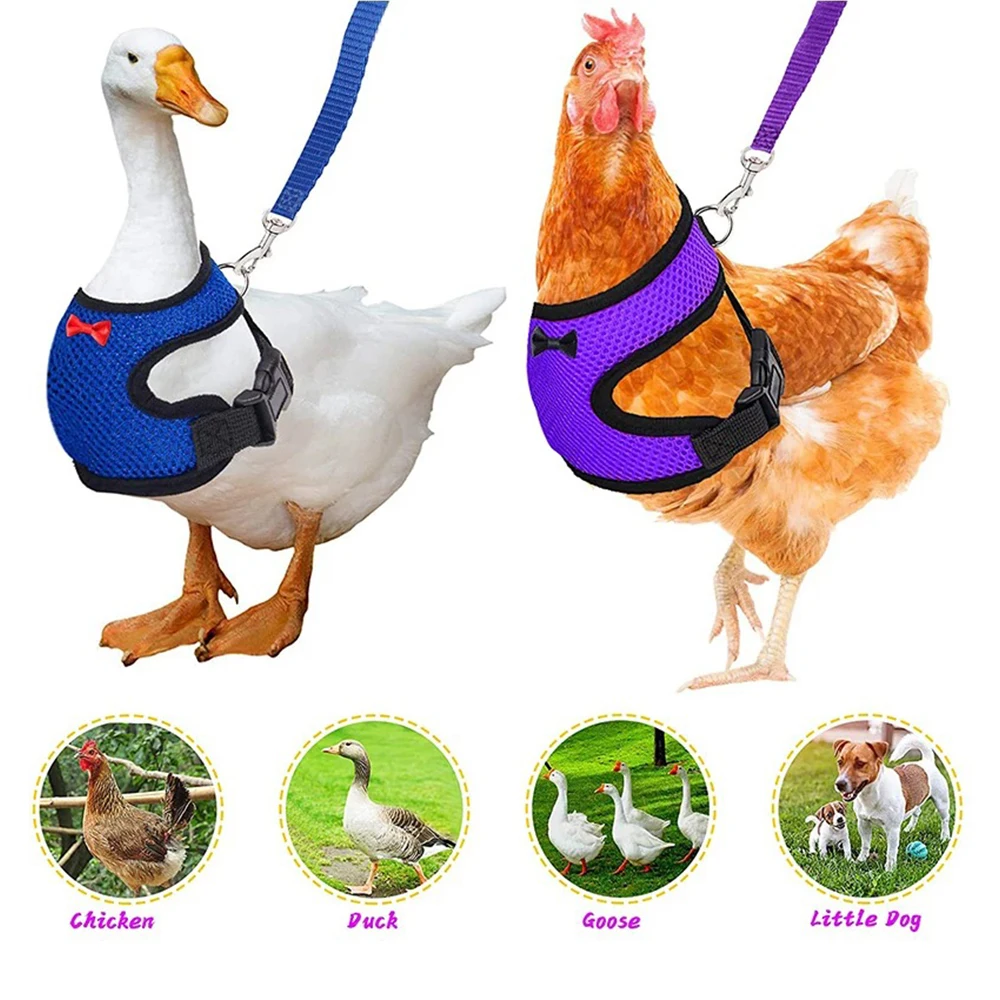 Adjustable Duck Chicken Harness Leash Comfortable And Breathable Small Size Hen Pet Vest For Chicken Duck Goose Training Walking