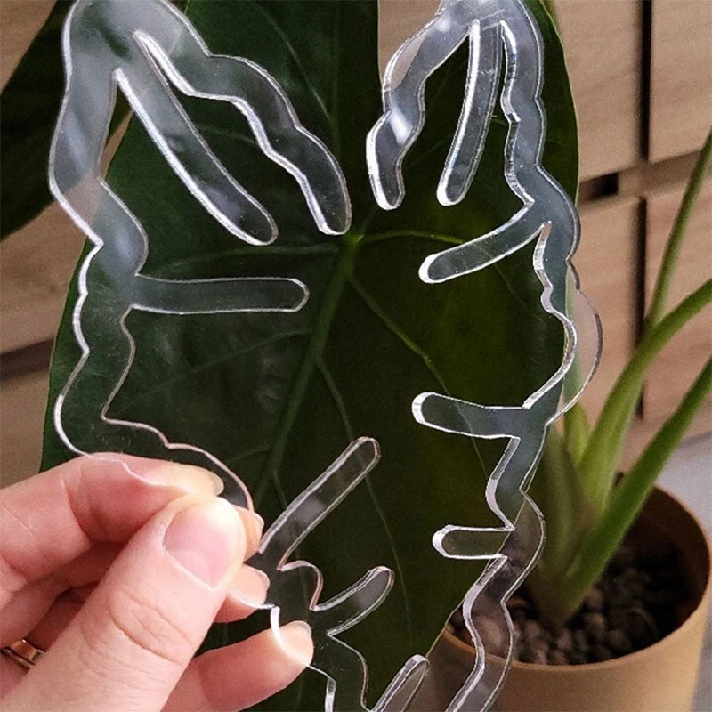 Clear Monstera Plant Stem Support; Reusable and Durable Potted Plant Stand
