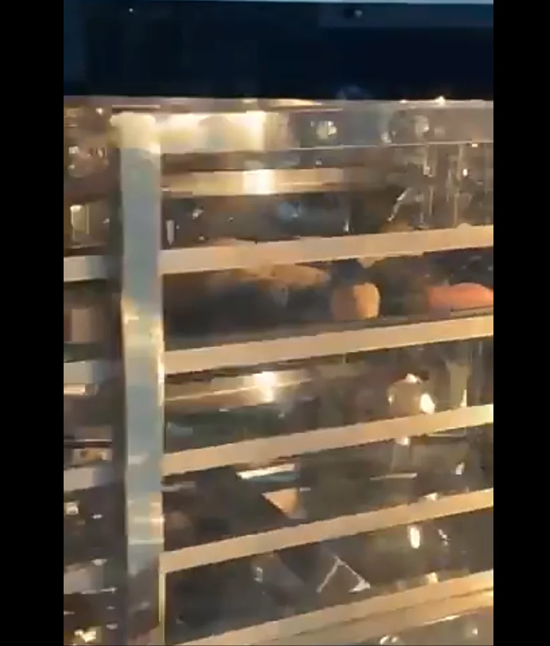 Steam Convection Oven Electric Oven 5 Trays 10 Trays Bread Baking Small Rotary Oven for Bakery