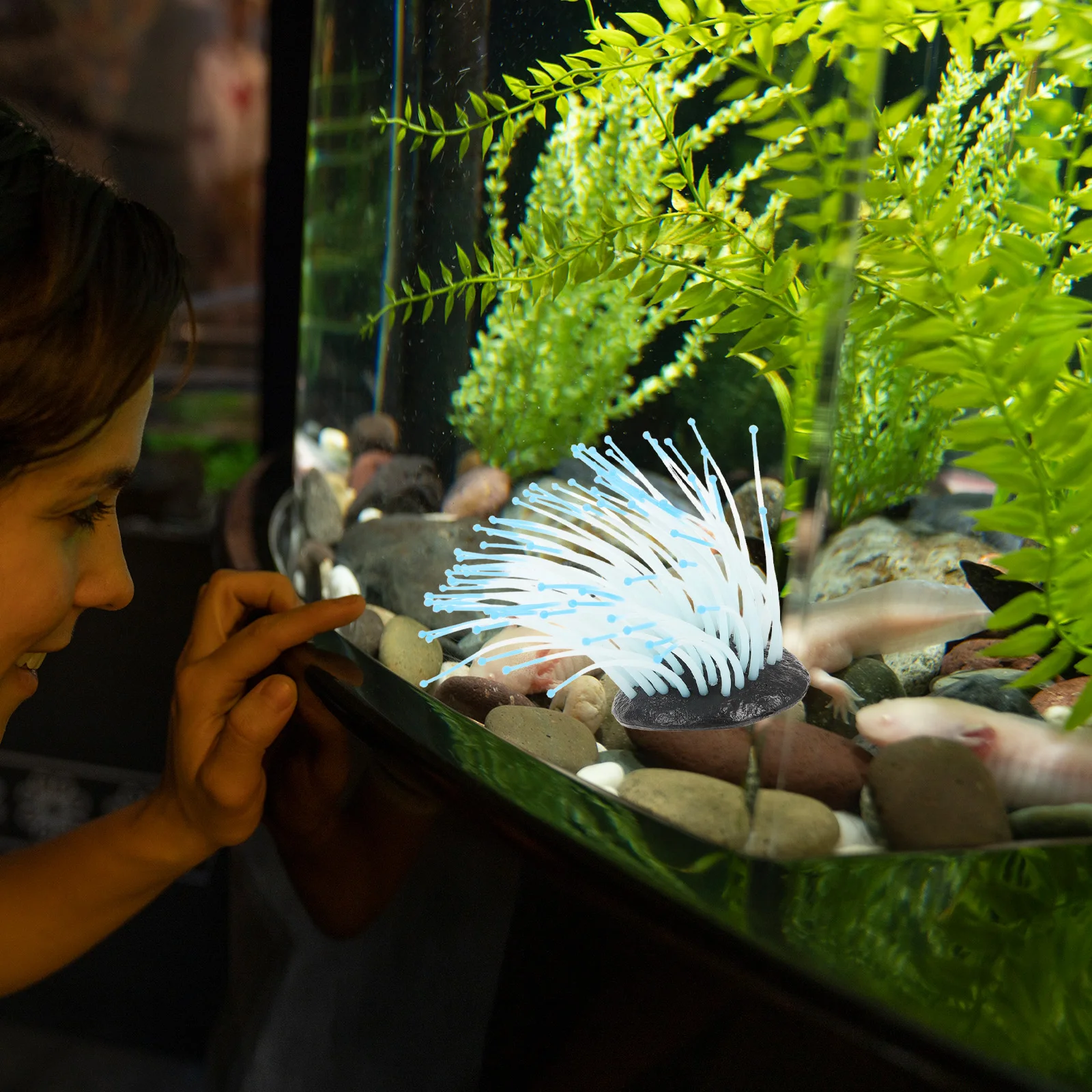 

Glow In The Dark Resin Sea Anemone Coral Aquarium Landscape Decor Fish Tank Ornament Lifelike Artificial Plant For Pets