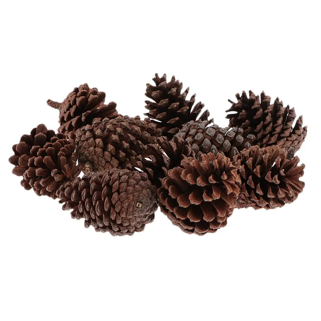 Paquete de 10 conos de pino rústicos a granel - Adornos de piñas naturales, decorativos