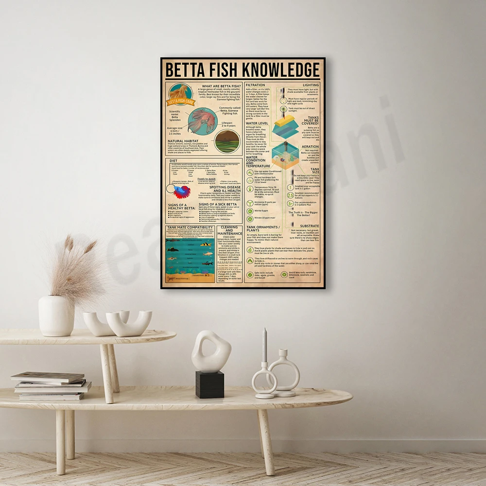 Betta fish knowledge poster, betta fish art, everything about betta fish, knowledge retro poster, educational wall decoration
