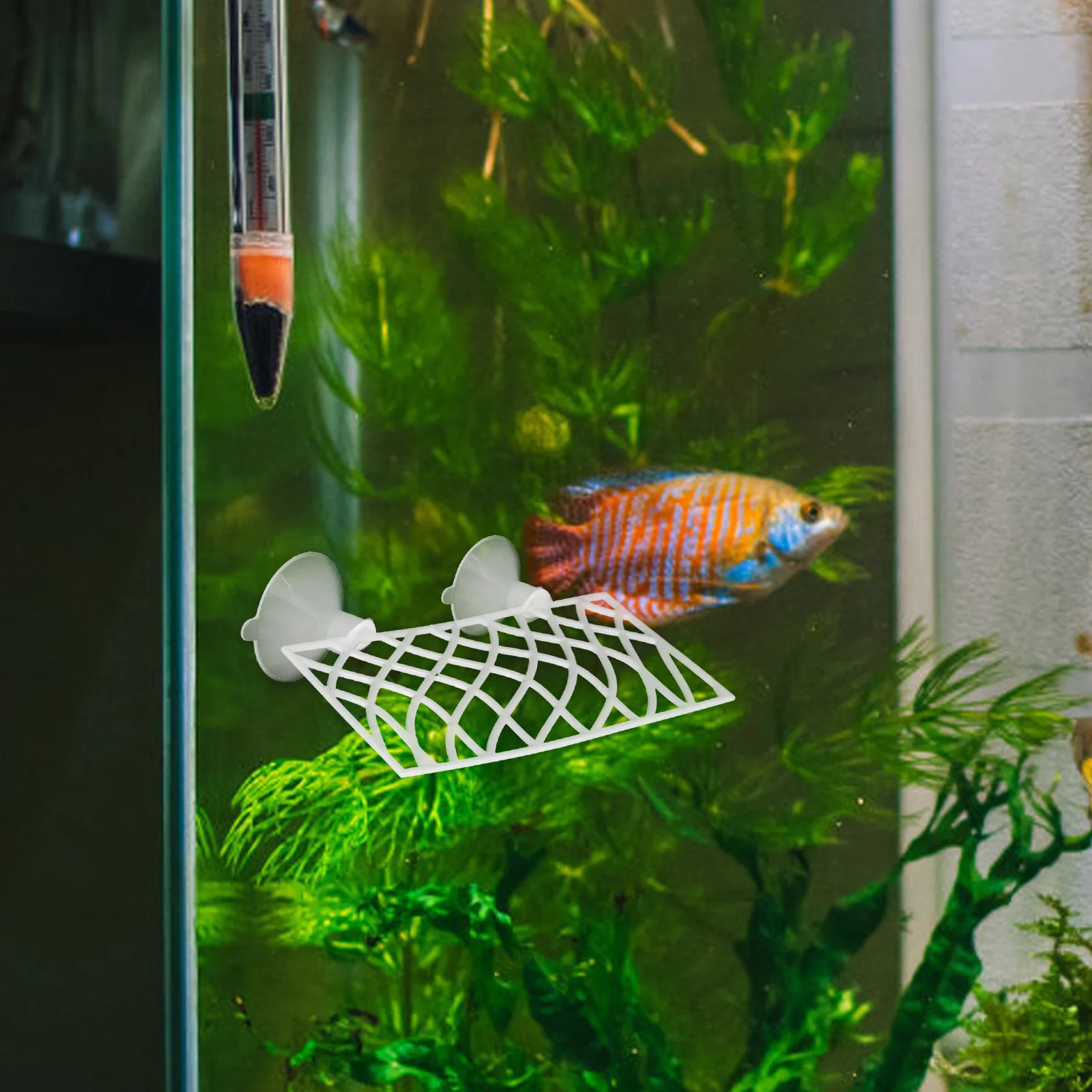 

1Set Fish Tank Hollowed Tunnel Betta Fish Resting Bed Aquarium Decoration Betta Tank Tunnel Aquarium Ornaments