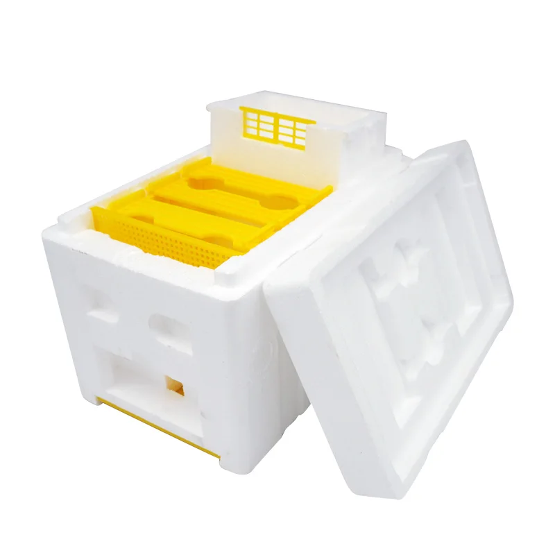 1 قطعة صندوق تربية النحل رغوة صندوق تربية النحل الملكة الملك خلية النحل صناديق التوليم بيت النحل معدات تربية النحل