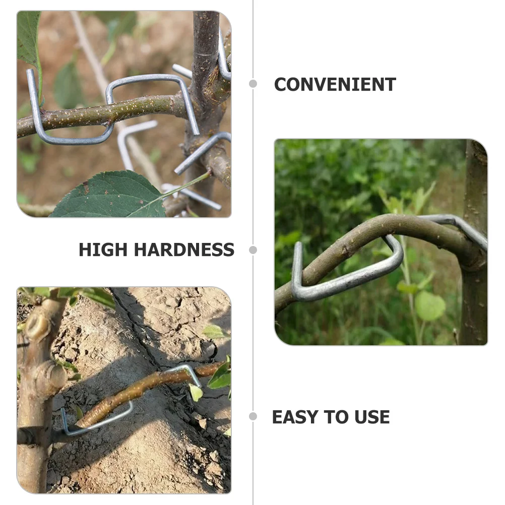 Tree Stake Kit Fruit Branch Shaper Tools Gardening Twig Clips Cable Tie Bonsai Moderators Wrench Holder