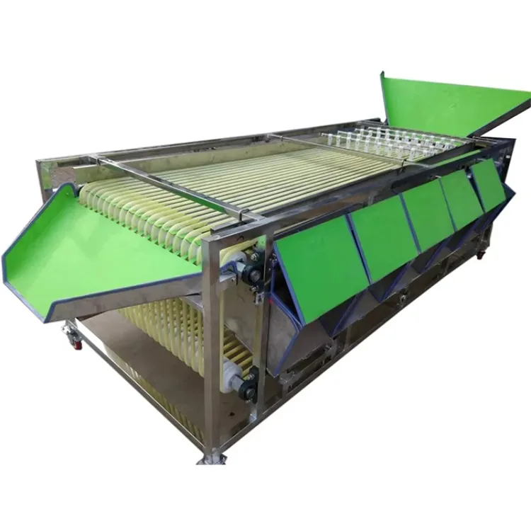 Professional Automatic Blueberry Fruit and Vegetable Sorting Machine