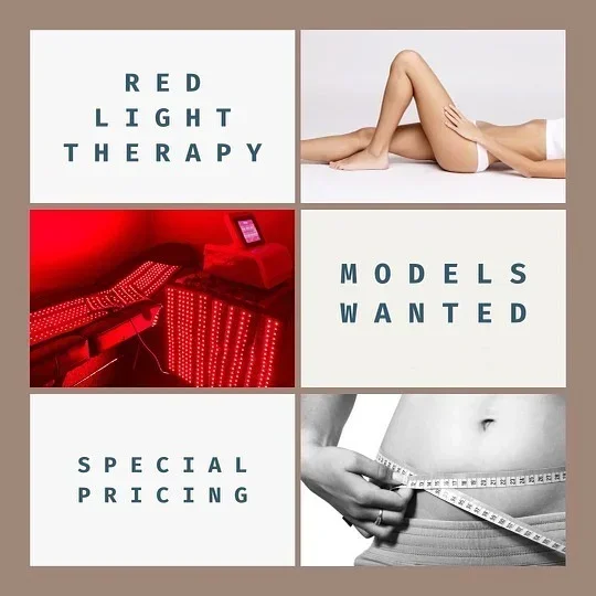 2025/660nm 850nm Full Body Red Light Blanket  Weight  Physical Therapy 360 Whole body Sculpting