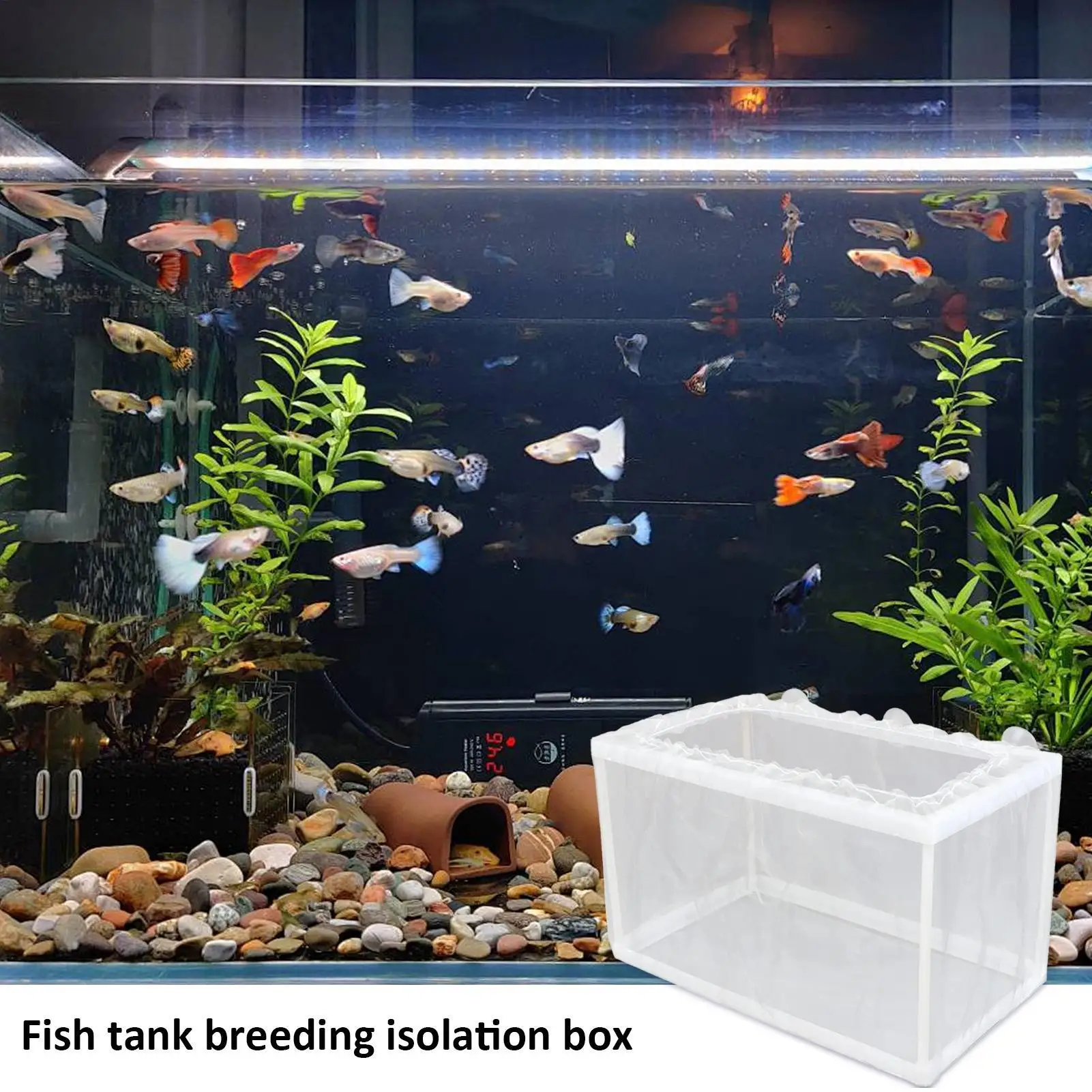 Fish Breeder Box with Suction, Aquarium Hatcher, Mesh Box, Juvenile Fish Separation Net, Tank Incubator Box, Safe Fish Breeding