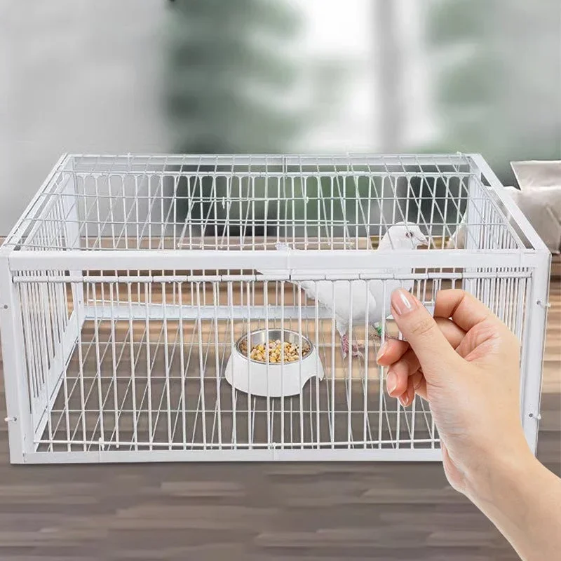 Auto Trap Humane Bird Cage-Entry Only, No Exit, With Base