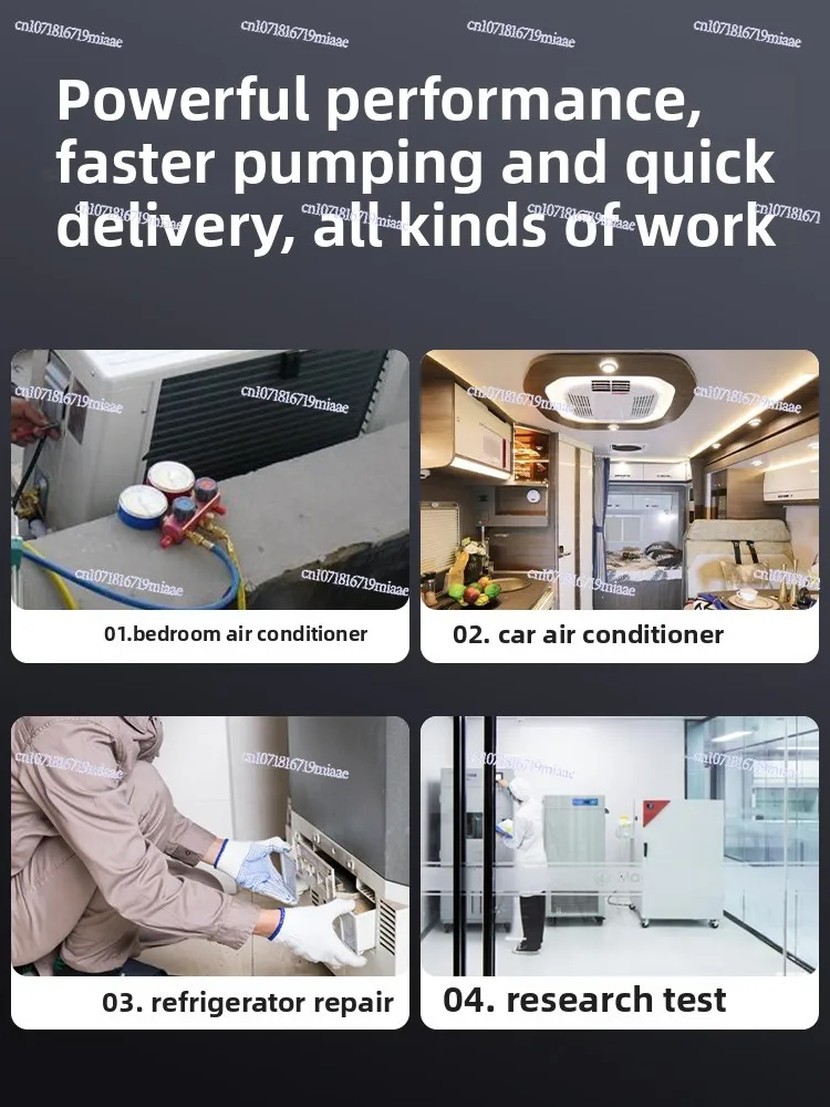 Ruby Rotary Vane Vacuum Pump