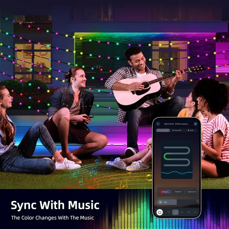 WS2812B USB الجنية أضواء بلوتوث LED سلسلة الجنية أضواء Dreamcolor RGBIC حفلة عيد الميلاد أضواء الزفاف الديكور جارلاند #6