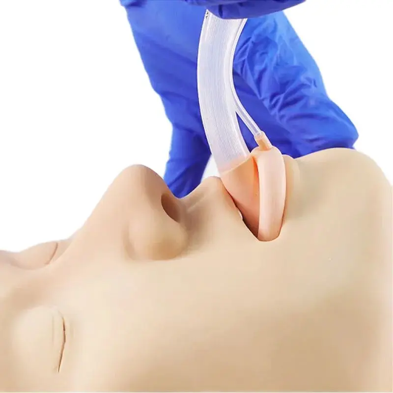 Modèle de formation à la gestion des voies respiratoires, ventilation nasopharyngée, simulateur d'intubation trachéale et de cricothyrotomie pour la pratique