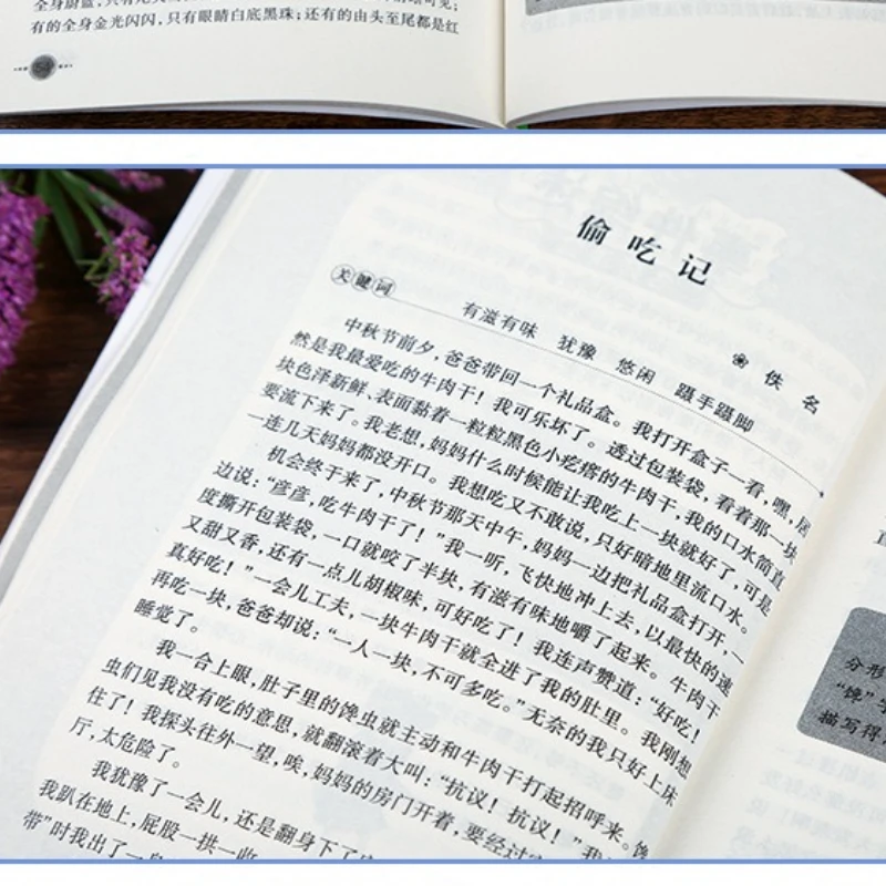 초등학생들은 쉽게 좋은 에세이를 작성하고 최고의 점수를 얻을 수 있습니다. 상상력 넘치는 에세이 전체 목록