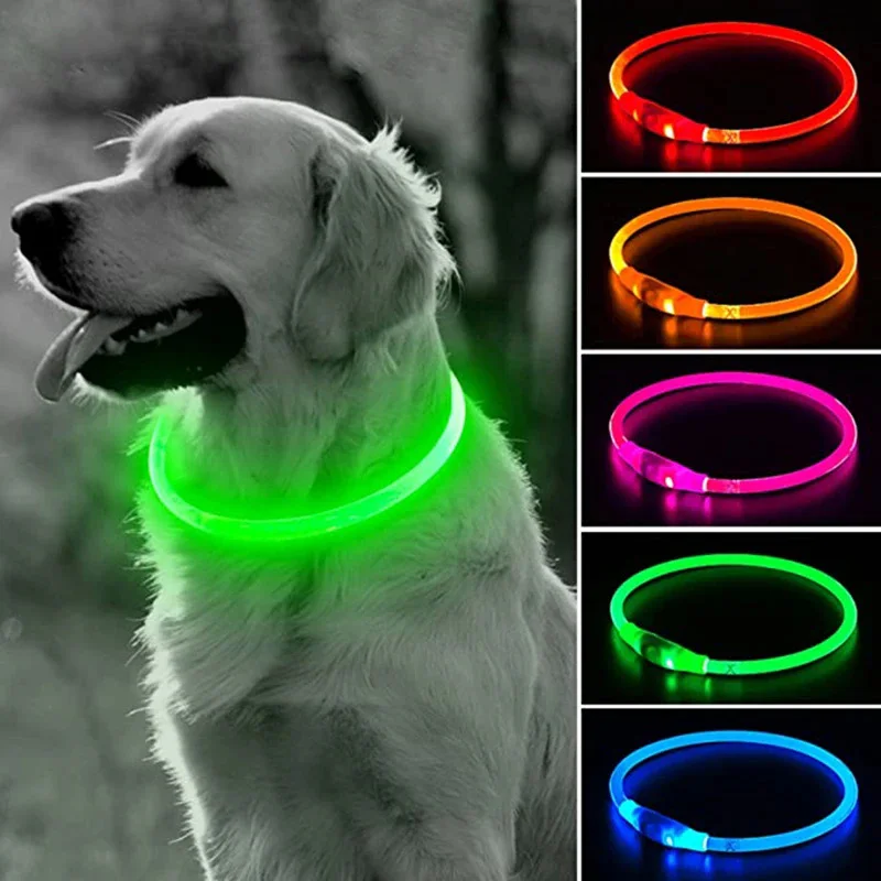Luminous LED Dog Collar com Luz, USB, Prevenção da Perda, Pet Acessórios, 3 Modos, Cat