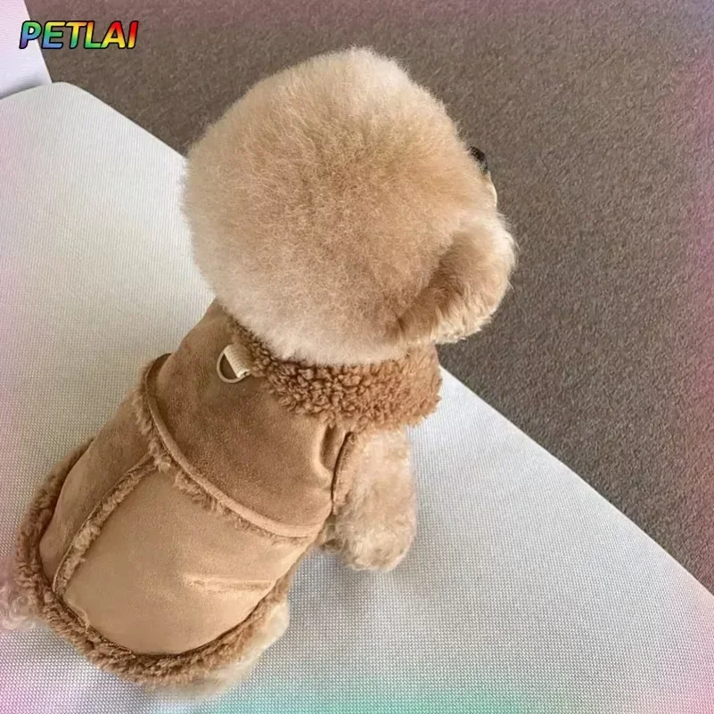Urocza kamizelka dla psa, ubra – Winter Clothing Accessories recenzja i cena