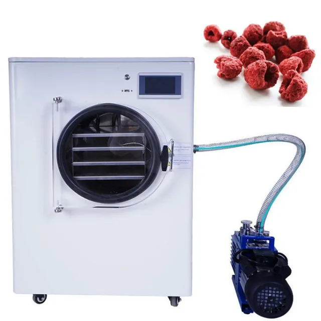 Small Mini Home Use Vacuum Freeze Drying Machine with Pump & Food Dehydrator 750W 1 Year Warranty