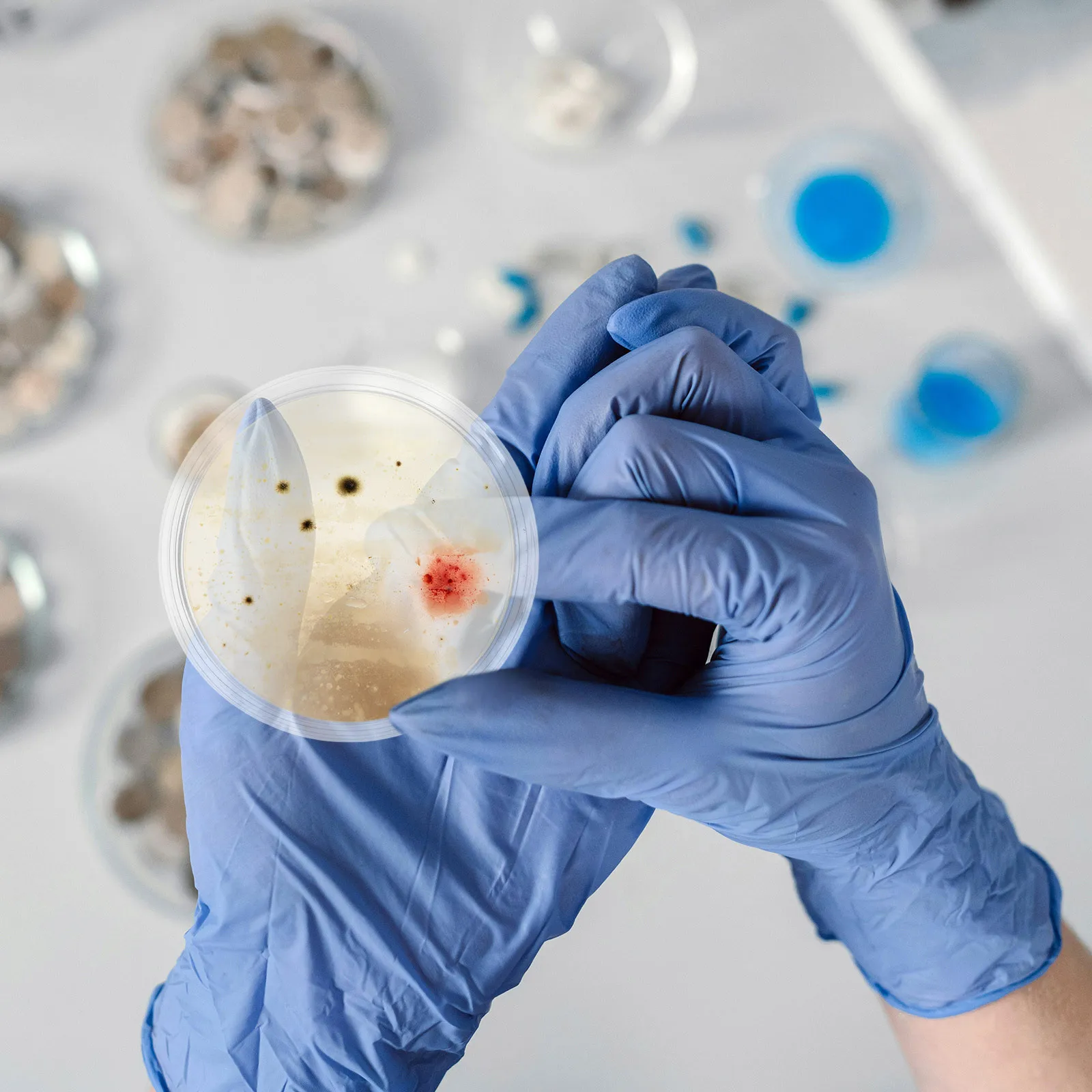 

10Pcs Glass Culture Dishes 90mm Reusable Lab Plates High Optical Clarity Cell Growth Scientific Equipment Glass Petri Dishes