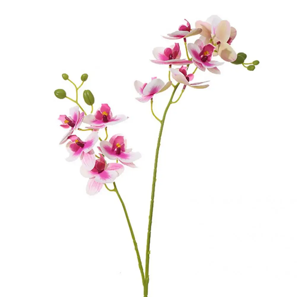 Delicate Immortal Flower  Ornamental Safe Artificial Orchid  Fake Phalaenopsis Flower