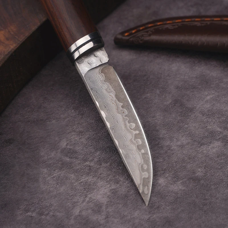 3 Inch Sharp Kitchen Knife Damascus Pattern 10Cr15MoV Stainless Steels High Hardness Knife Quality Carving Chef Knives