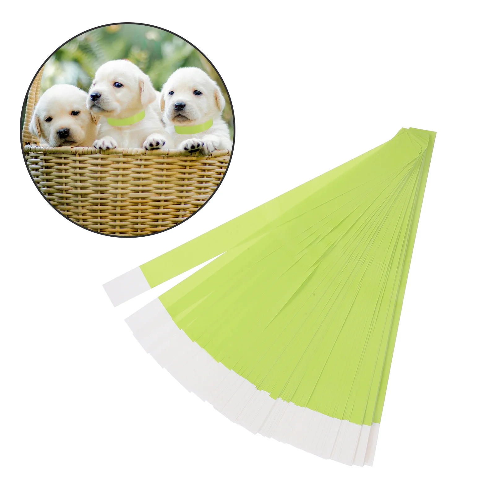 

100Pcs Pet Tag Collars Adjustable Newborn Puppy Id Bands Comfortable Puppy Litter Identification Dog Collar Name Tags