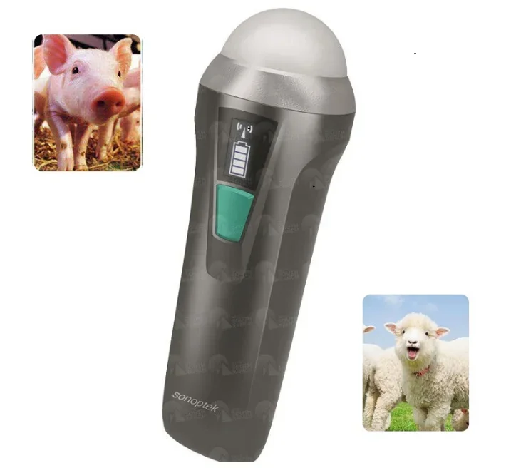 2025/MC100vet Powerful veterinary software wireless type mechanical sector probe for pig and sheep's  diagnosis