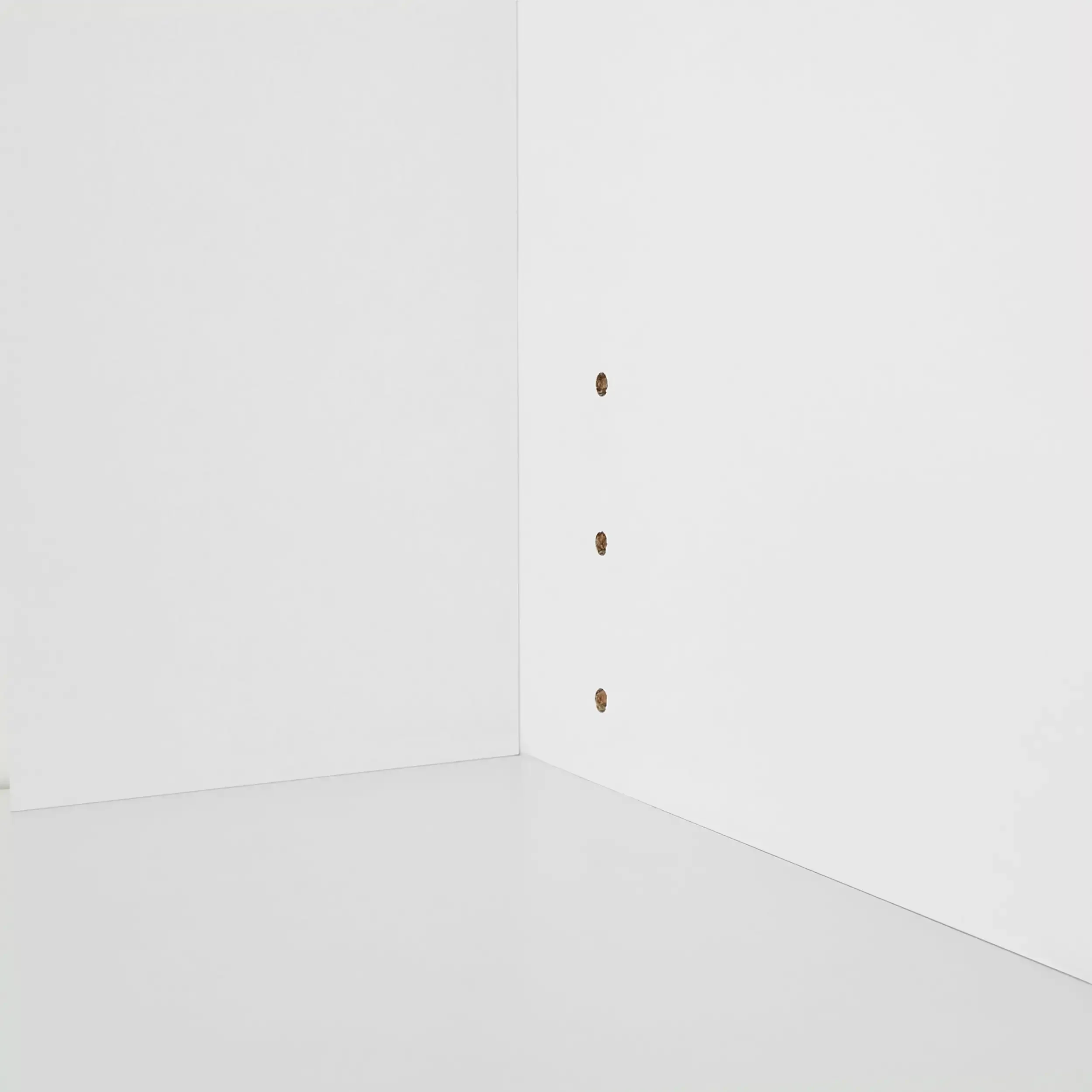 Framed 5-Shelf Bookcase with Adjustable Shelves