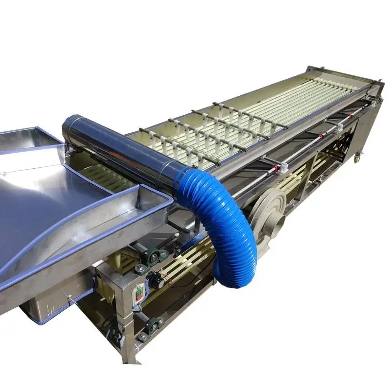 

Commercial Potato Avocado Onion Plum Tomota Grading Machine Onion Sorting and Grading Machines