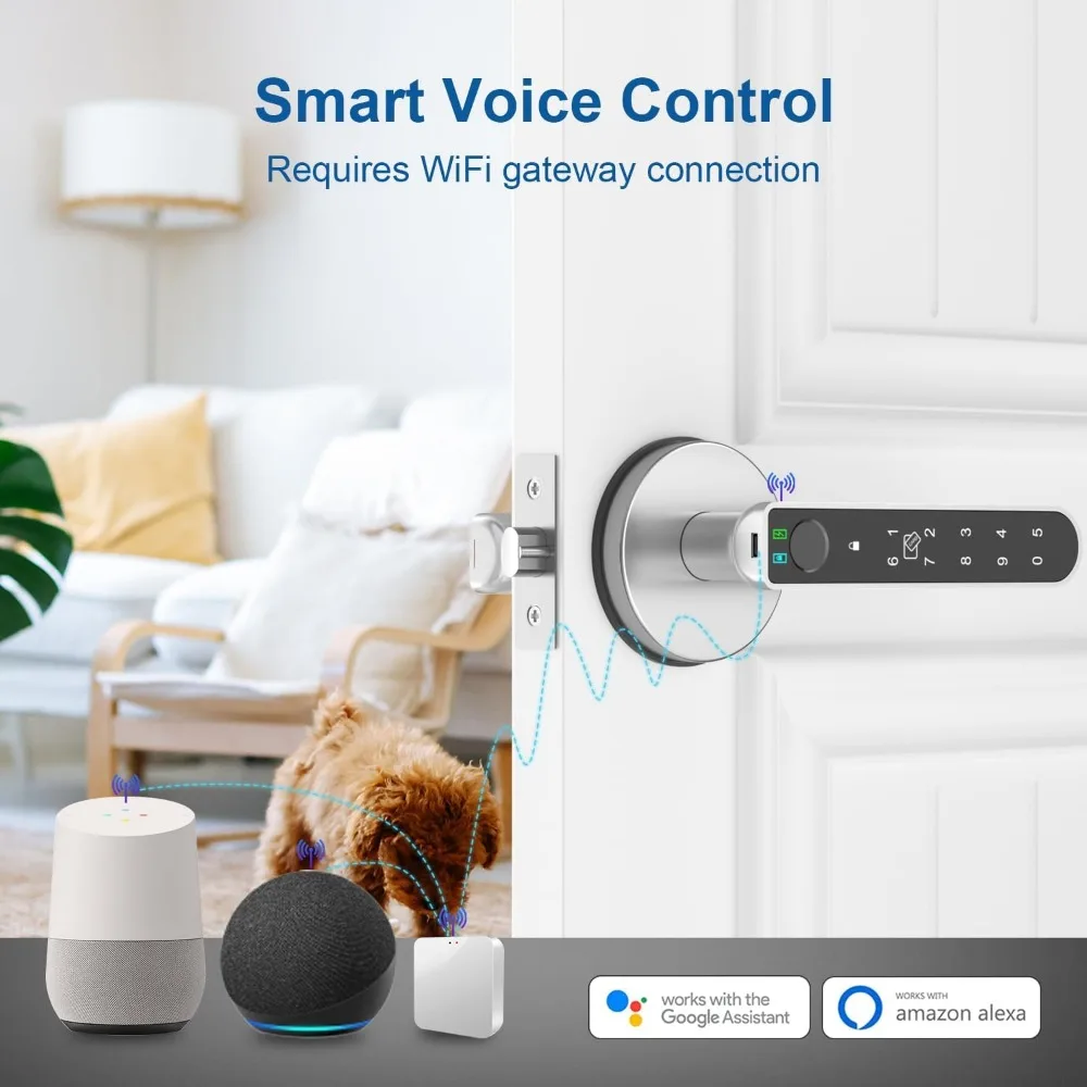 قفل باب ذكي ببصمة الإصبع مع التطبيق والبطاقة والرمز والوصول إلى المفتاح: نظام دخول آمن ببصمة الإبهام