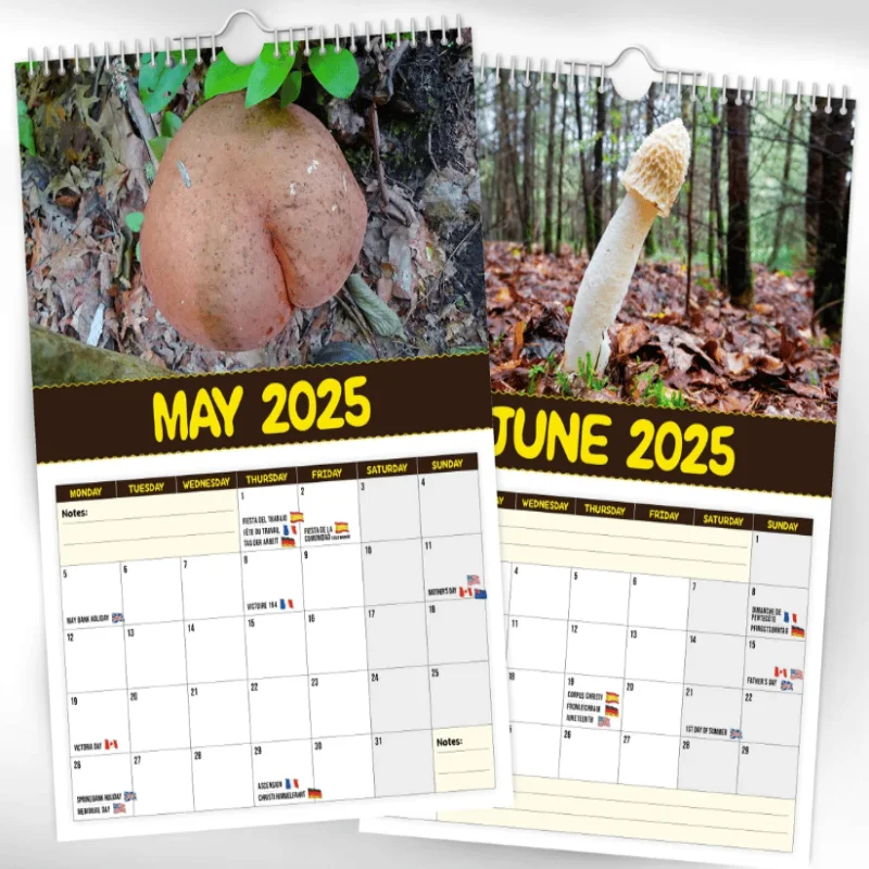 World's Greatest Mushrooms - 2025 Wall Calendar 2025 Desktop Annual Countdown Calendar 2025 Mushroom Pattern Calendar