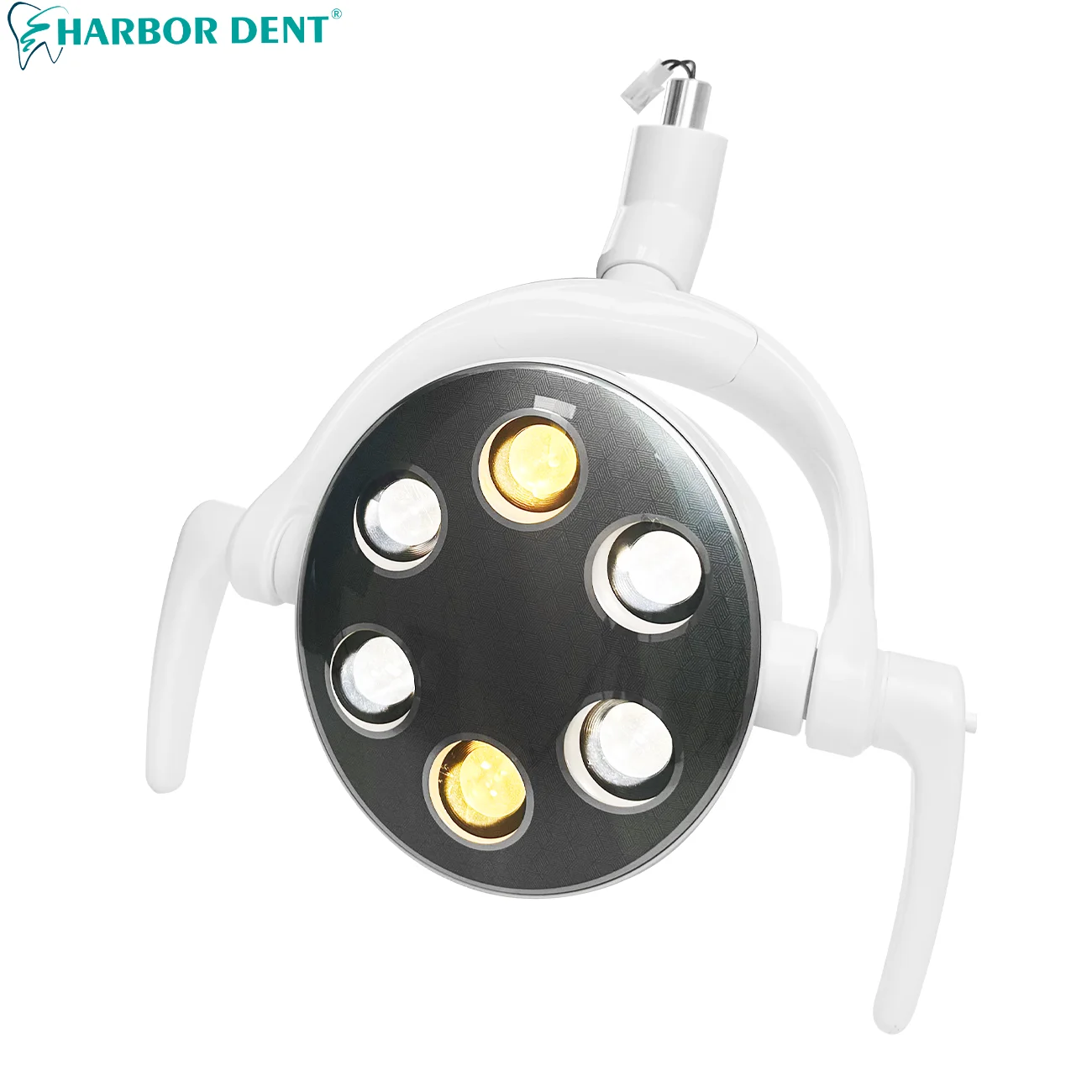 Dentale 6 LED luce orale con 15W regolabile giallo bianco colore luminosità dentista sensore di induzione lampada operazione strumento di odontoiatria