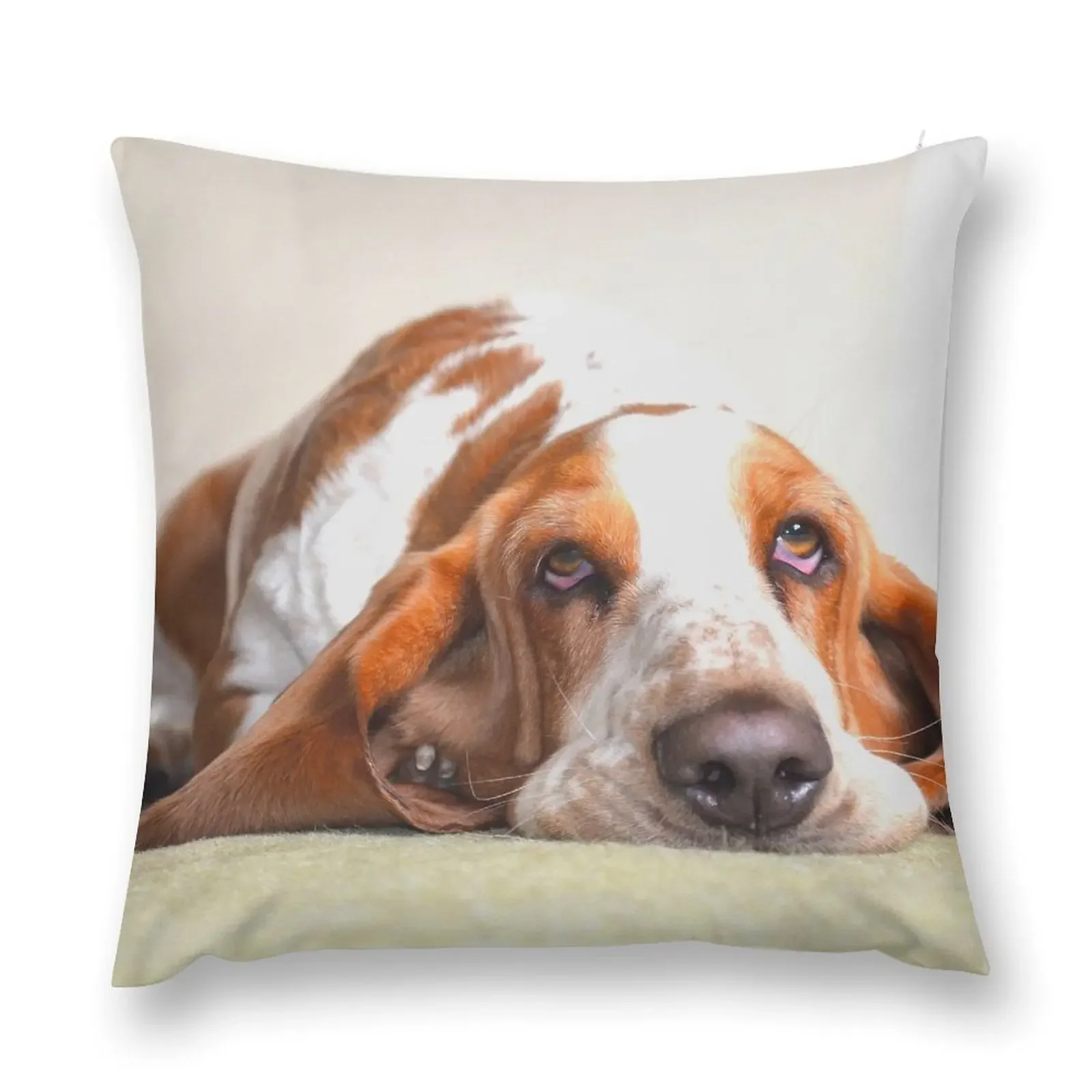 Basset Hound Throw Pillow Cusions Cover covers for pillows pillow