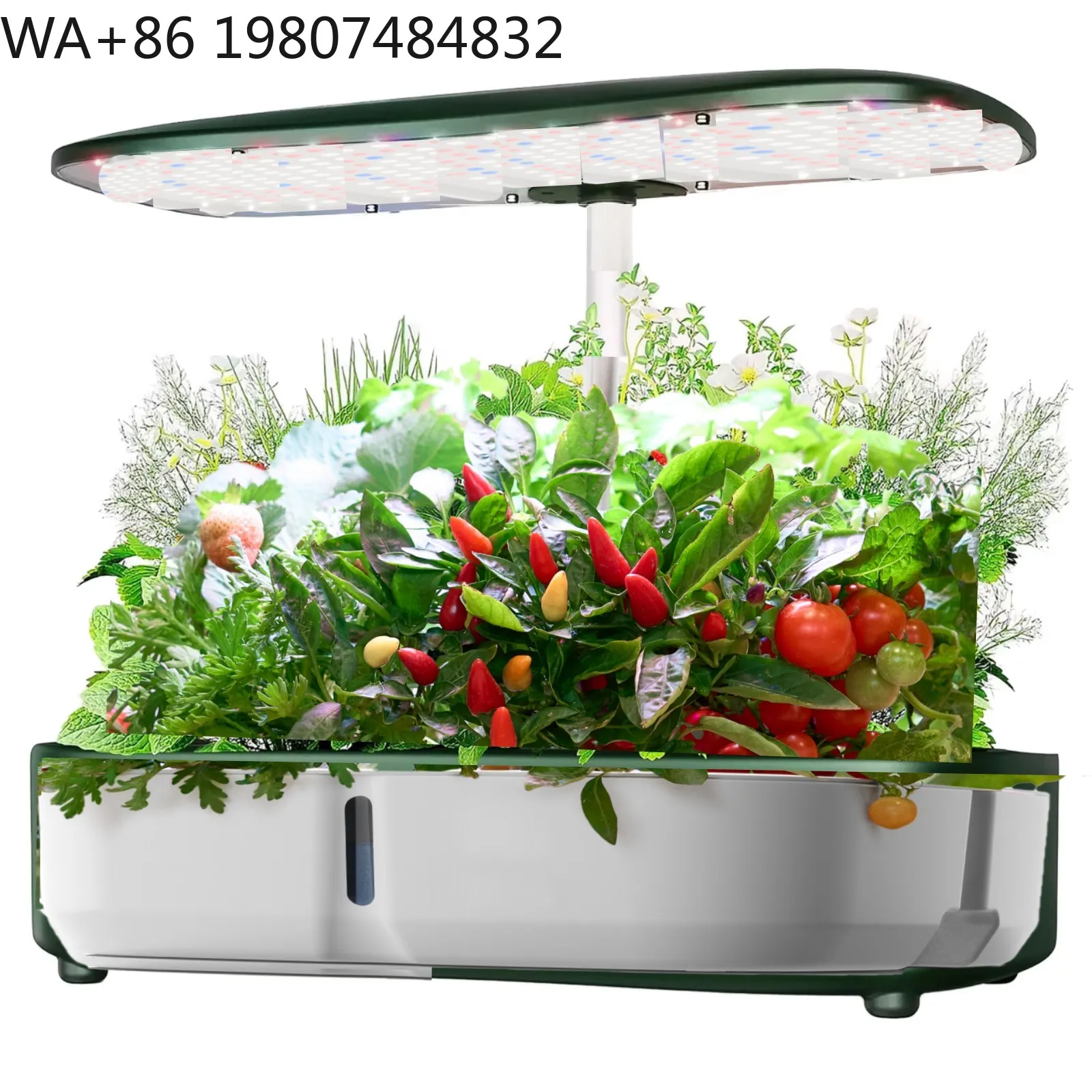 8 Pod  Mini Hydroponic Grow Box Full Spectrum Adjustable LED Grow Light Soilless Cultivation Kit For Spices Leaf Vegetable
