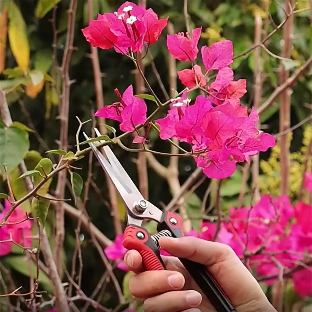 Forbici da giardino raccoglitori di frutta e verdura forbici per rami forbici da potatura strumenti da giardinaggio a punta coltello da innesto