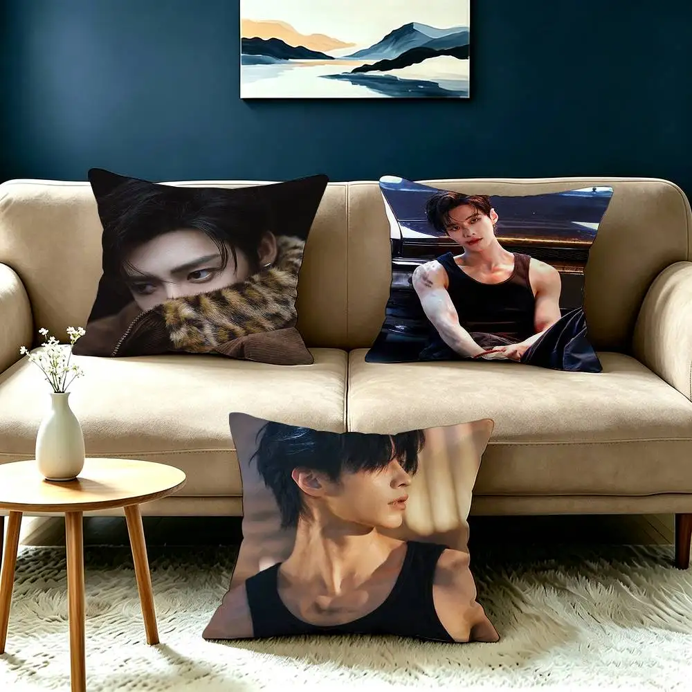 Nick H-He Yu Jin Chao Pillow Case Square Double-Sided Sofa Cushion Cover Bedroom Bedside Pillow