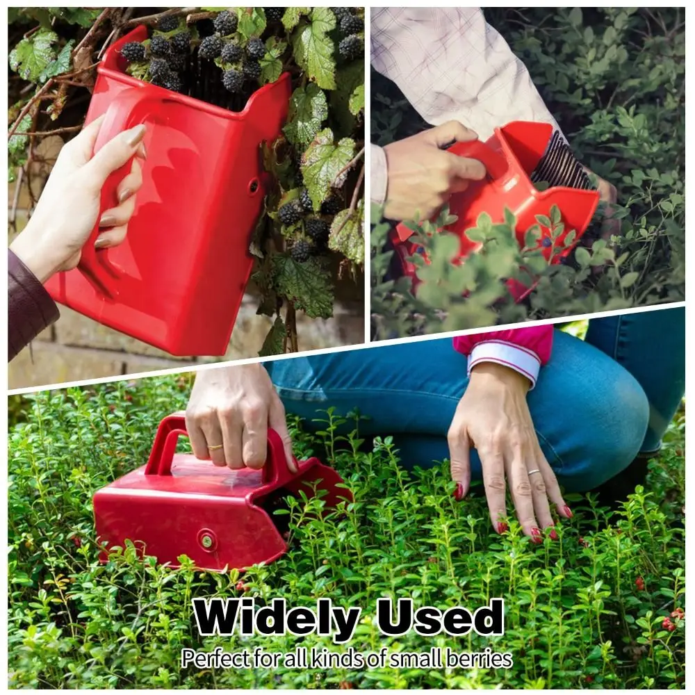 Picking Berry Harvester Scoop Metal Comb Rakes Blueberry Picker Labor Saving Environmentally Huckleberry Picker