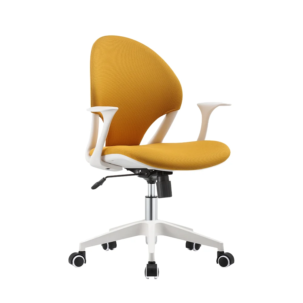 Ergonomic Office Chair with Full Range Lumbar Support Massage Points Comfortably Office Room